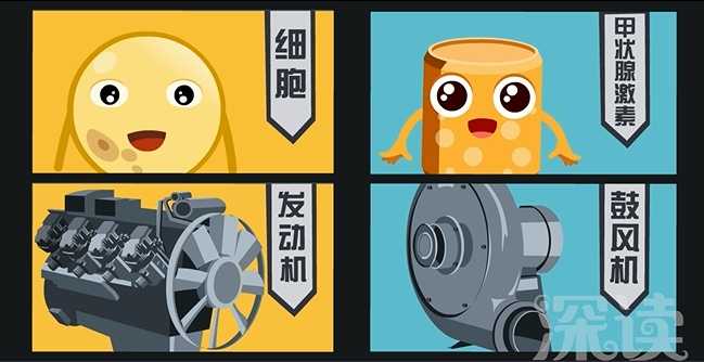 有句话说「女性的一生是被激素控制的一生」，这句话是真的吗？