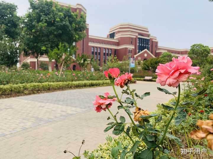 就读上海建桥学院如何？ - 知乎