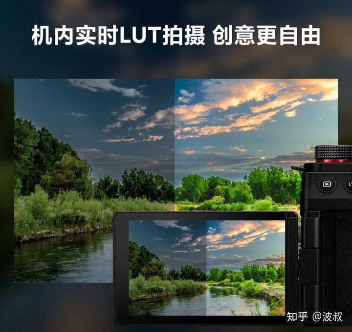 全画幅佳能EOS R8 松下S5M2双套机哪个值得选? - 知乎
