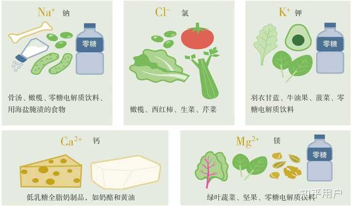 什么是生酮饮食?为什么那么多人推崇生酮饮食? - 知乎