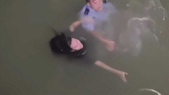 动图封面