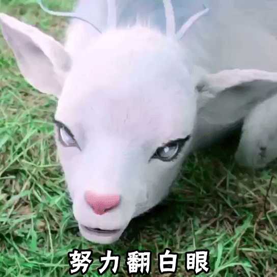 赵丽颖和冯绍峰为什么频繁否认恋情怀孕结婚生子