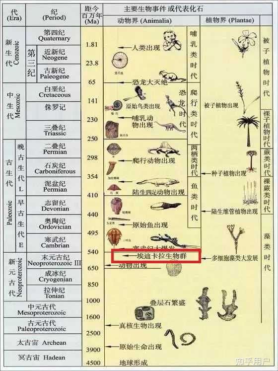 地球发展史?白垩纪,侏罗纪,三叠纪二叠纪。等等!是什么先后顺序? - 知乎