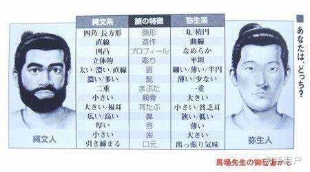 日本的弥生人与渡来人有什么不一样? - 知乎