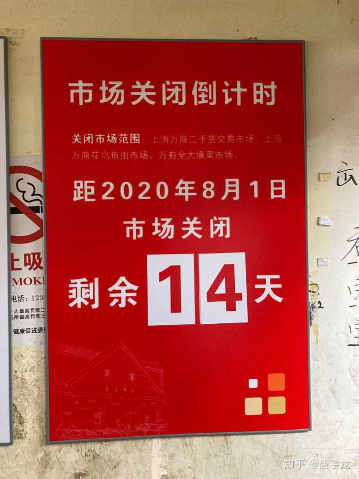 上海有没有特别好玩的花鸟市场？ - 唐宇龙的回答- 知乎