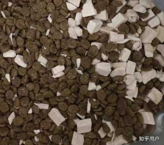 猫条为什么对猫咪的诱惑力是最大的？有什么依据？ - 知乎