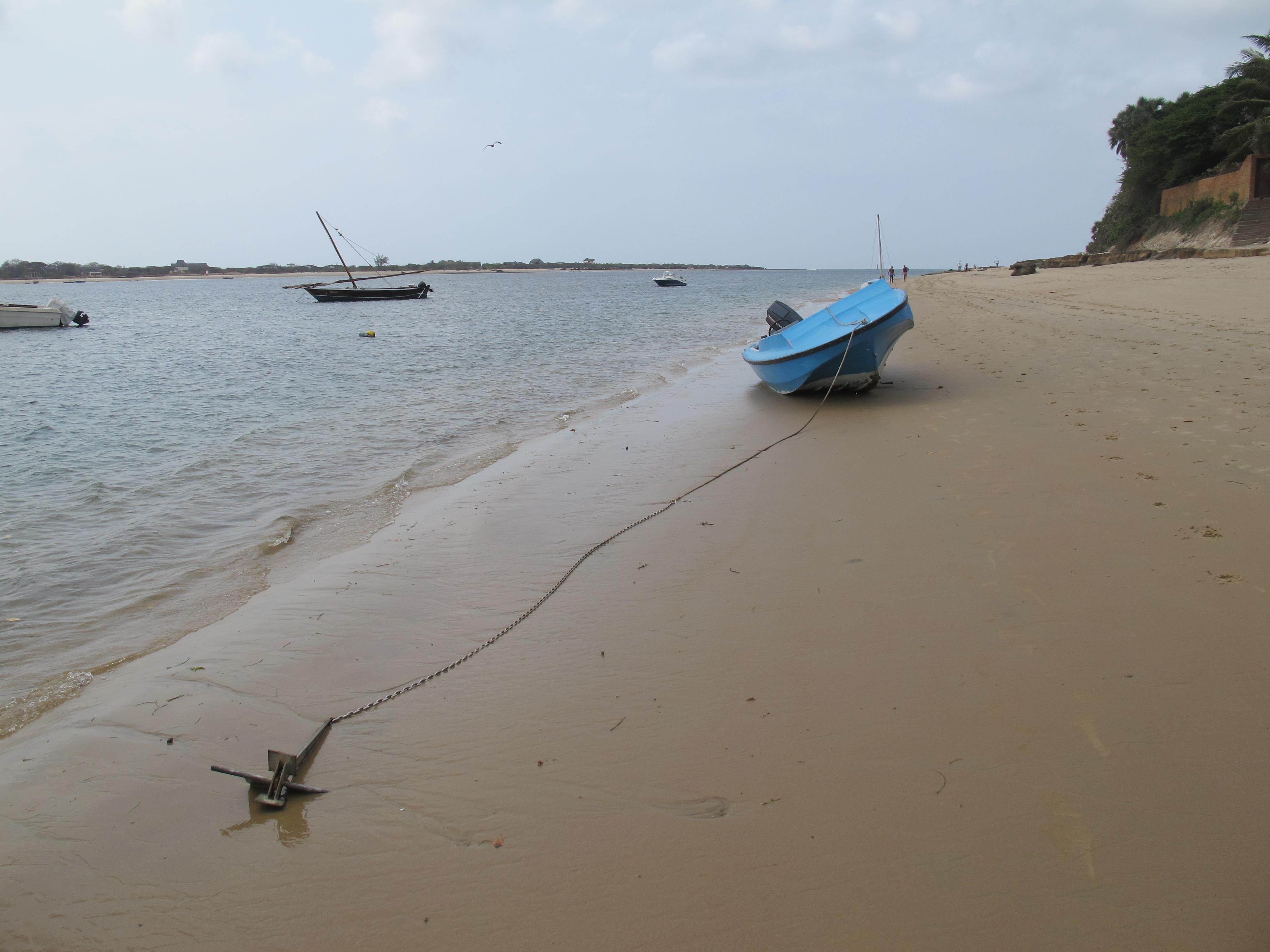 到非洲旅行带 8 岁小朋友同行有哪些需要注意的事项?