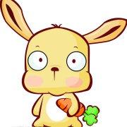 Zhihu profile picture for @rabbit