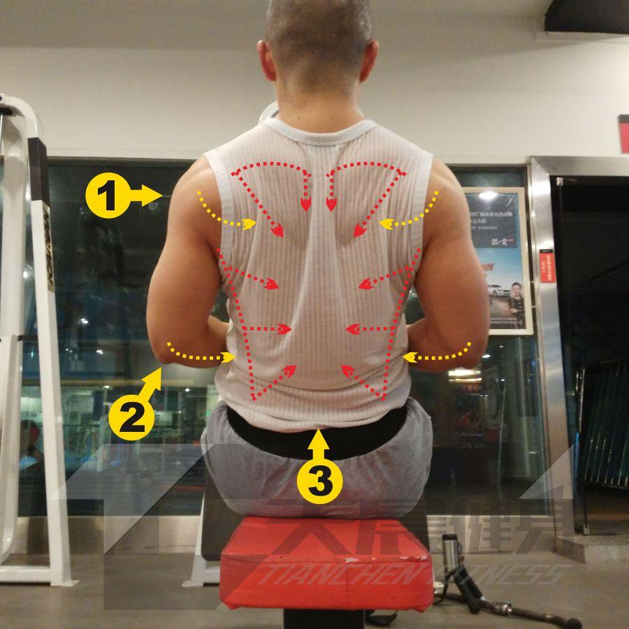 为什么我练坐姿划船这个动作一直找不到感觉