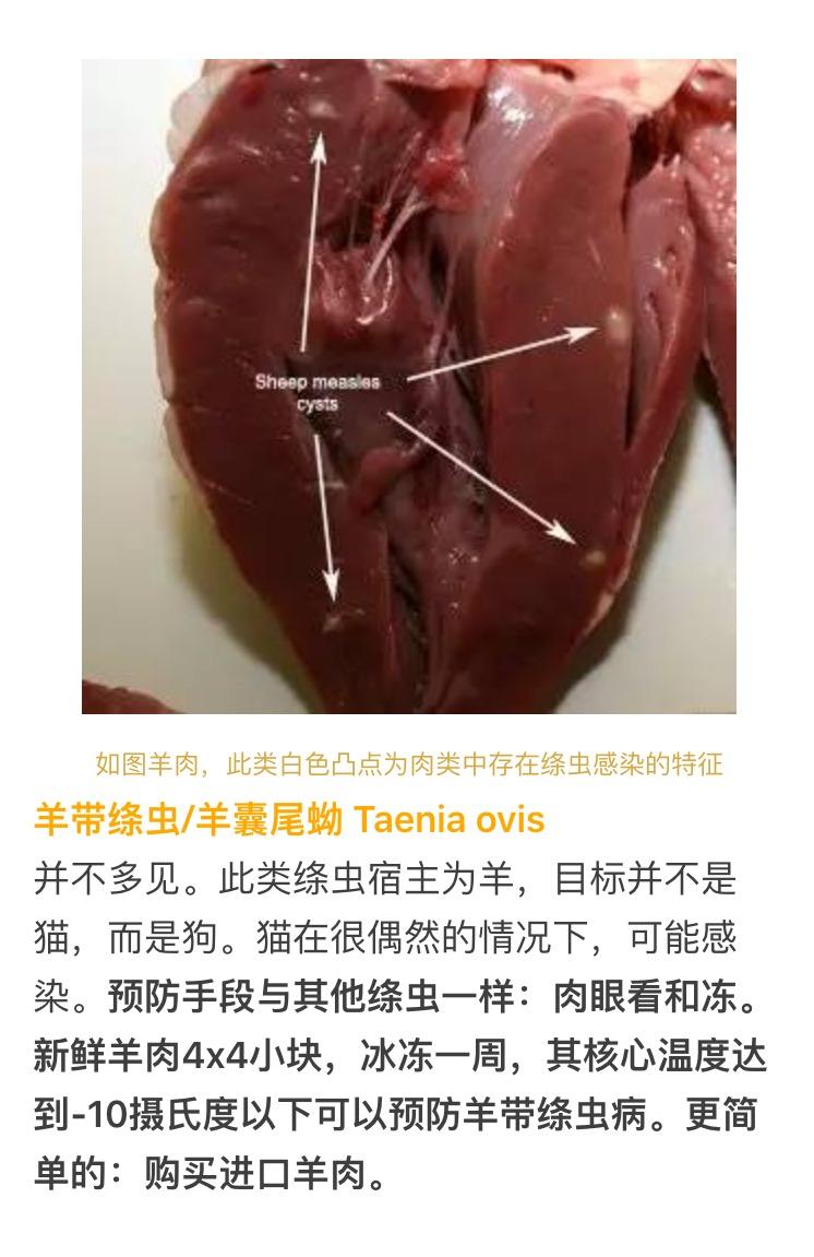 关于猫咪寄生虫问题生骨肉喂养的猫咪需要更勤做驱虫么