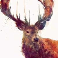 Zhihu profile picture for @becker