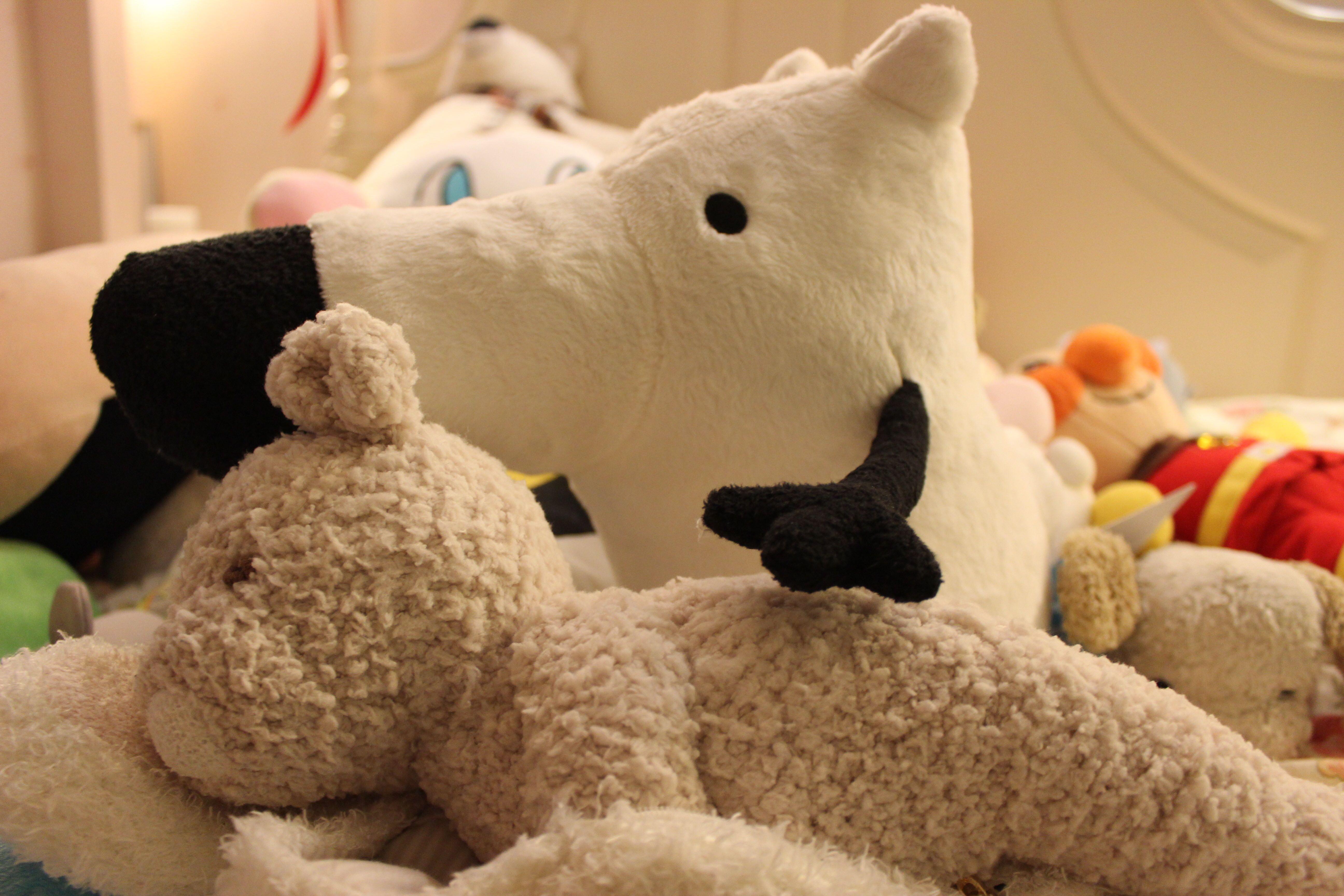 领养刘看山是怎样一种体验