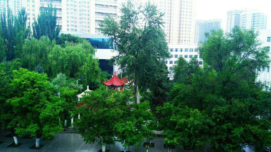 在青海师大附中就读是怎么样的体验?