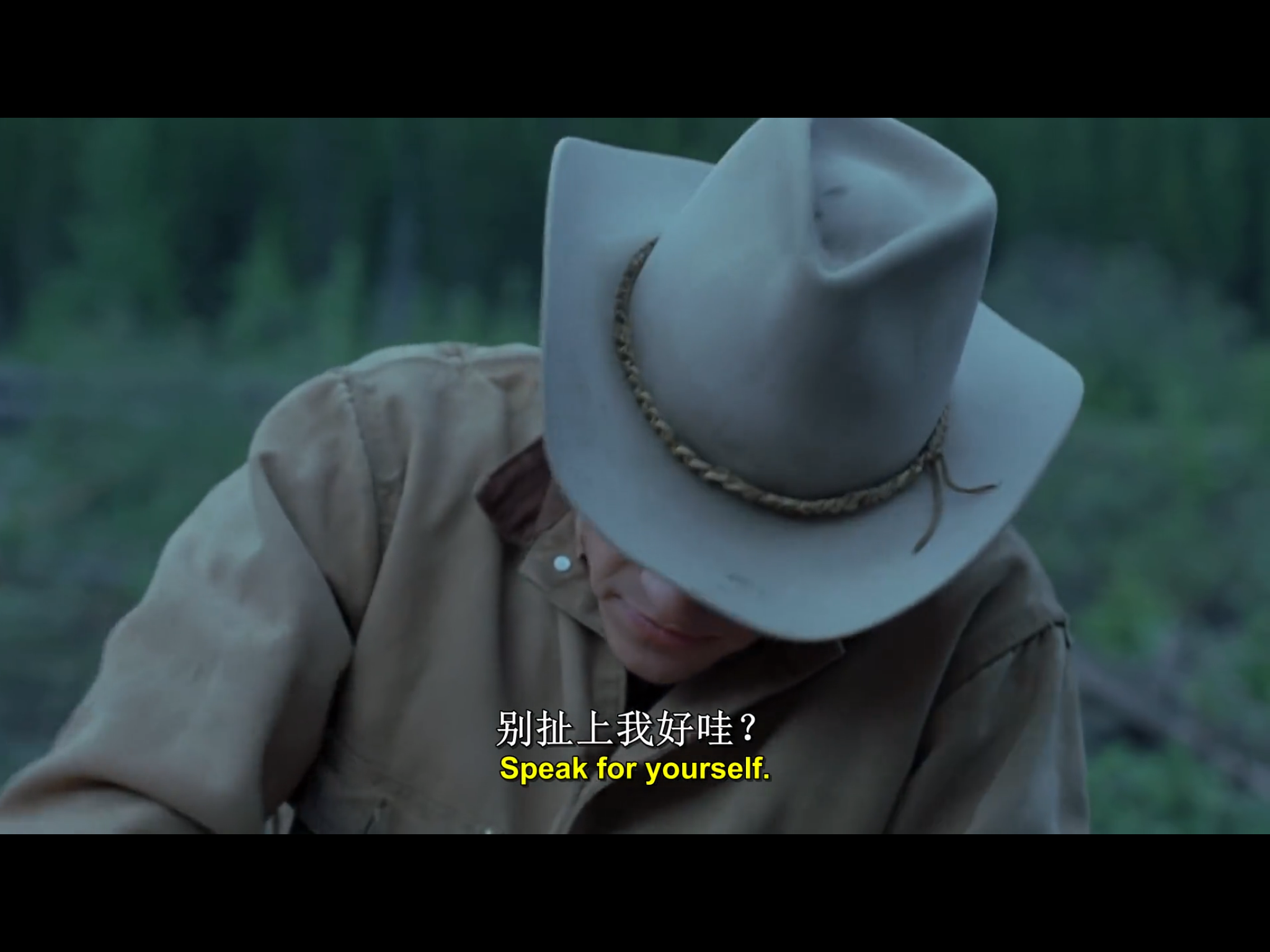 看过断背山后你有什么感触