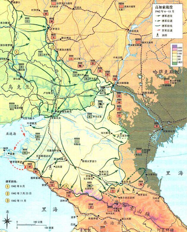 斯大林格勒保卫战与库尔斯克会战这两场战役哪场战役意义更重大哪场更