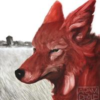 Zhihu profile picture for @camera