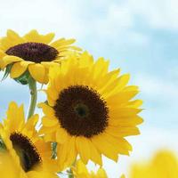 他的动态赞同了回答2024-02-15 00:30双瞳里的仙到底是什么样的存在?