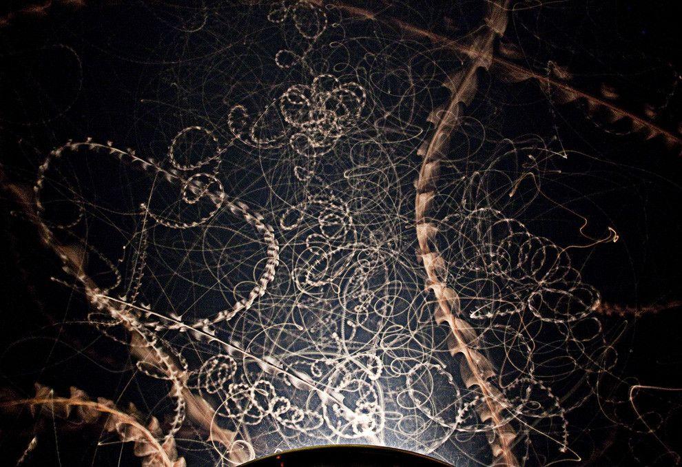 昆虫为什么不会因趋光性齐刷刷地奔向太阳