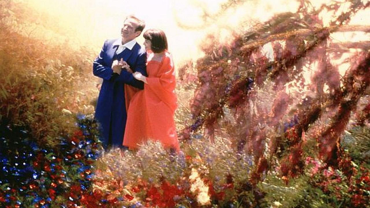 请介绍一些色调很漂亮的电影暖色调比如说布达佩斯大饭店天使爱美丽