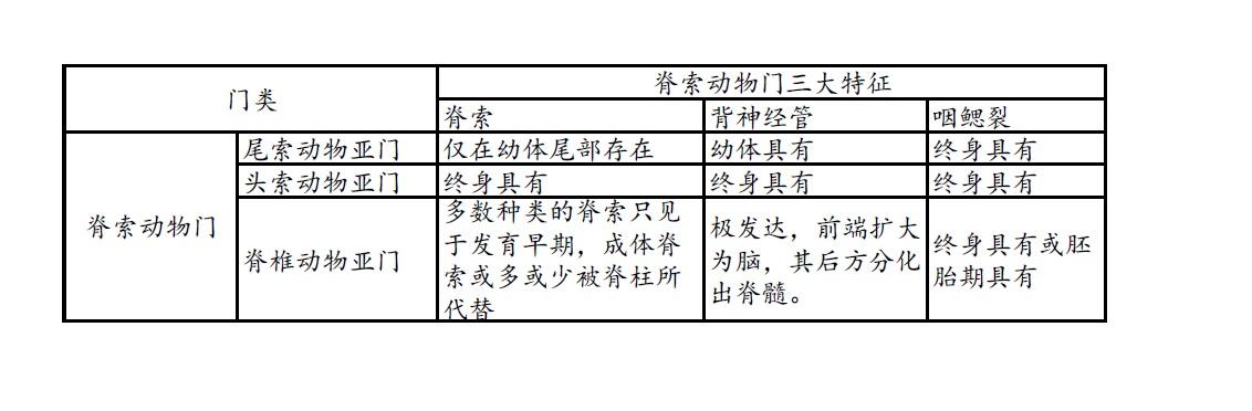动物学中脊索脊柱脊髓脊椎区别在哪里