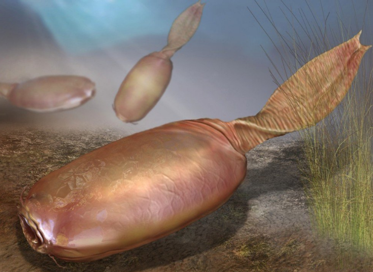 世界上存在过哪些奇特的古生物?