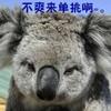有个财务