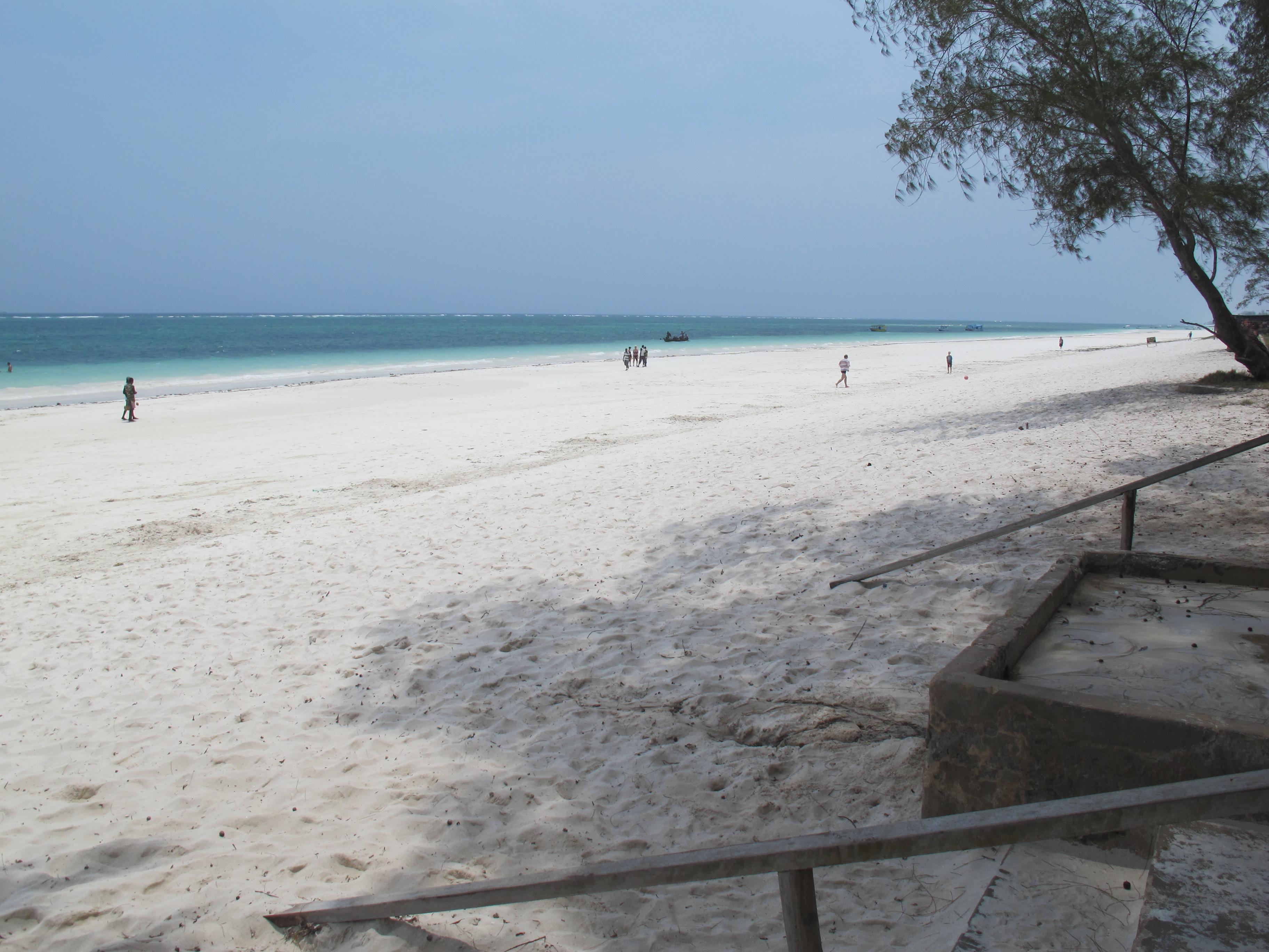 到非洲旅行带 8 岁小朋友同行有哪些需要注意的事项?