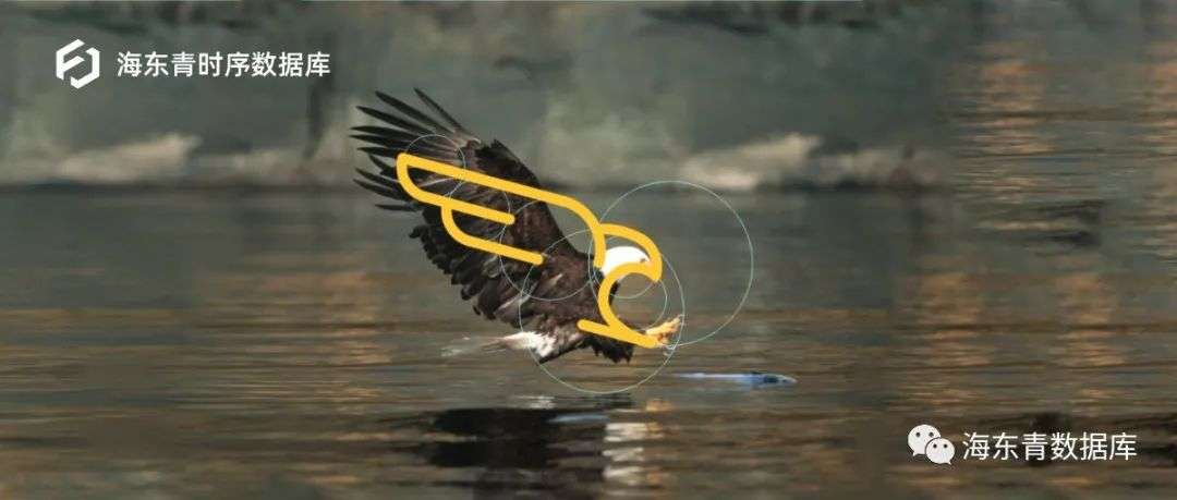 关于海东青时序数据库