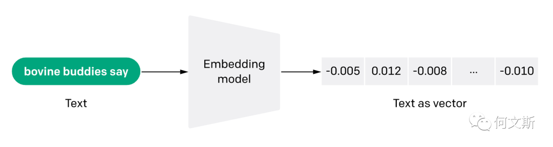 文本Embedding基本概念