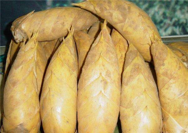 ʼ�˶�������һɽ��