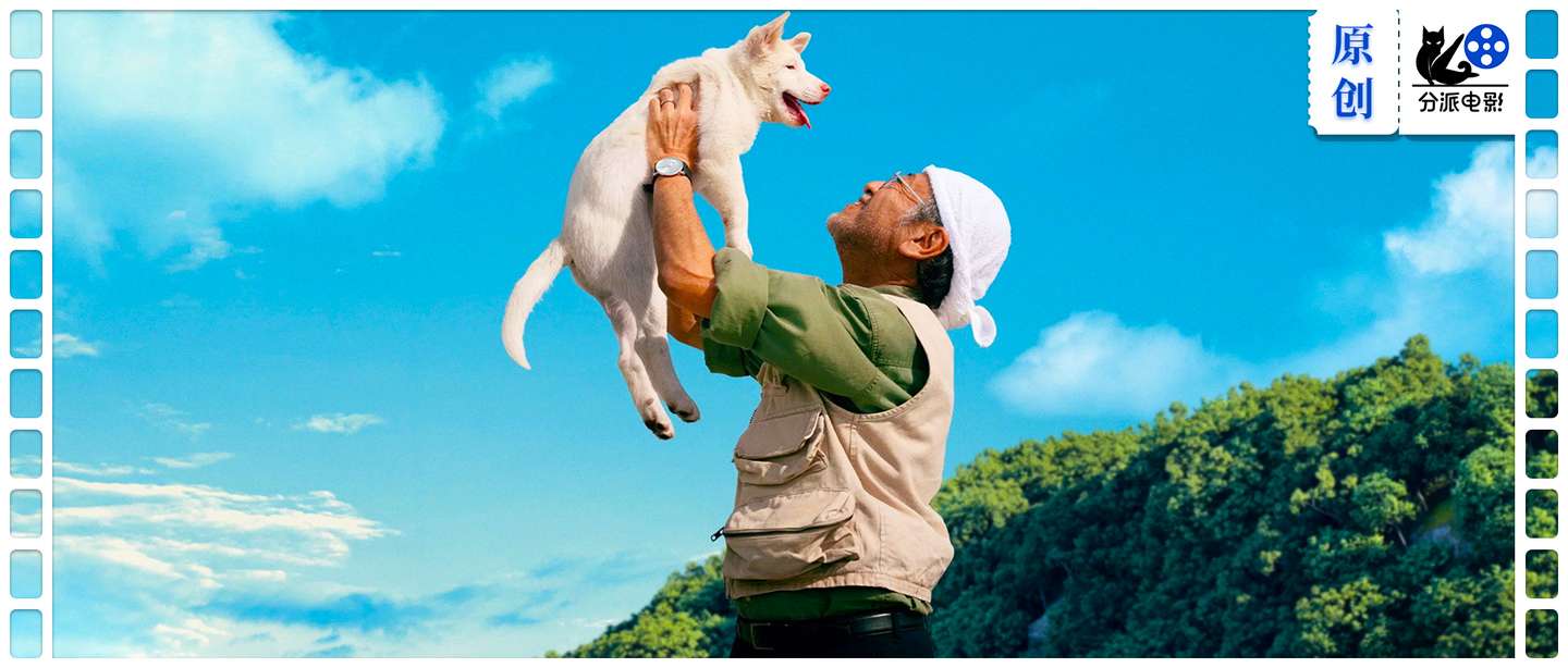 《心犬相随》现象级票房黑马，太好哭了