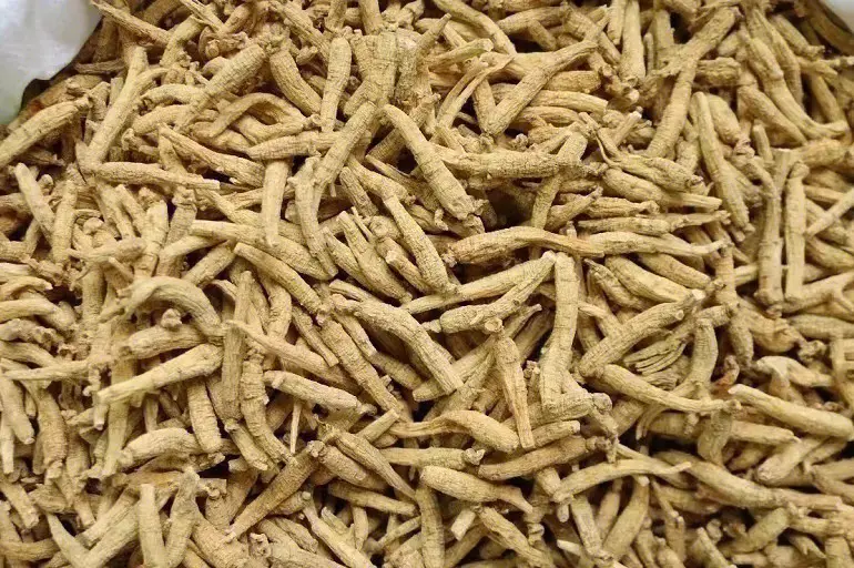 西洋参进口报关清关操作流程及单证资料指南