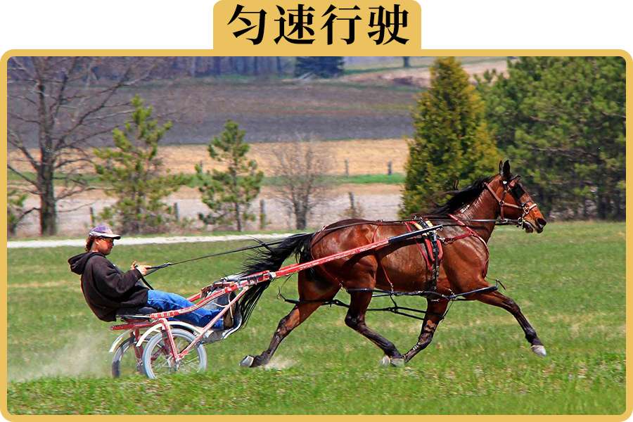 车上的定速巡航到底怎么用