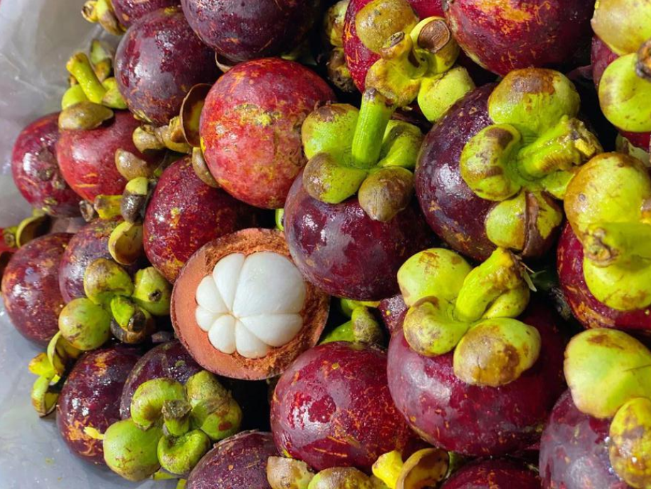 【水果进口】如何从国外进口山竹你了解吗？