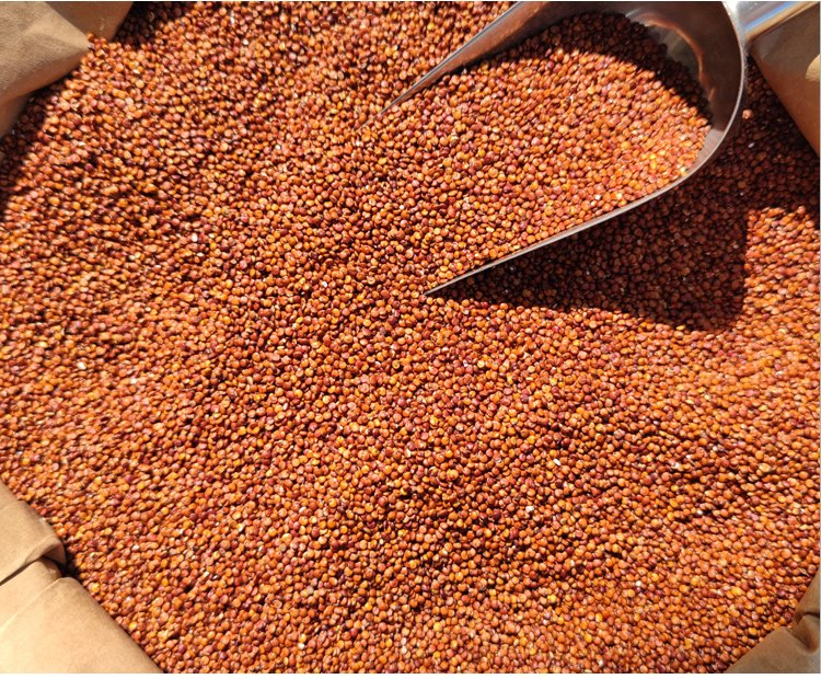 秘鲁藜麦深圳盐田港进口报关案例