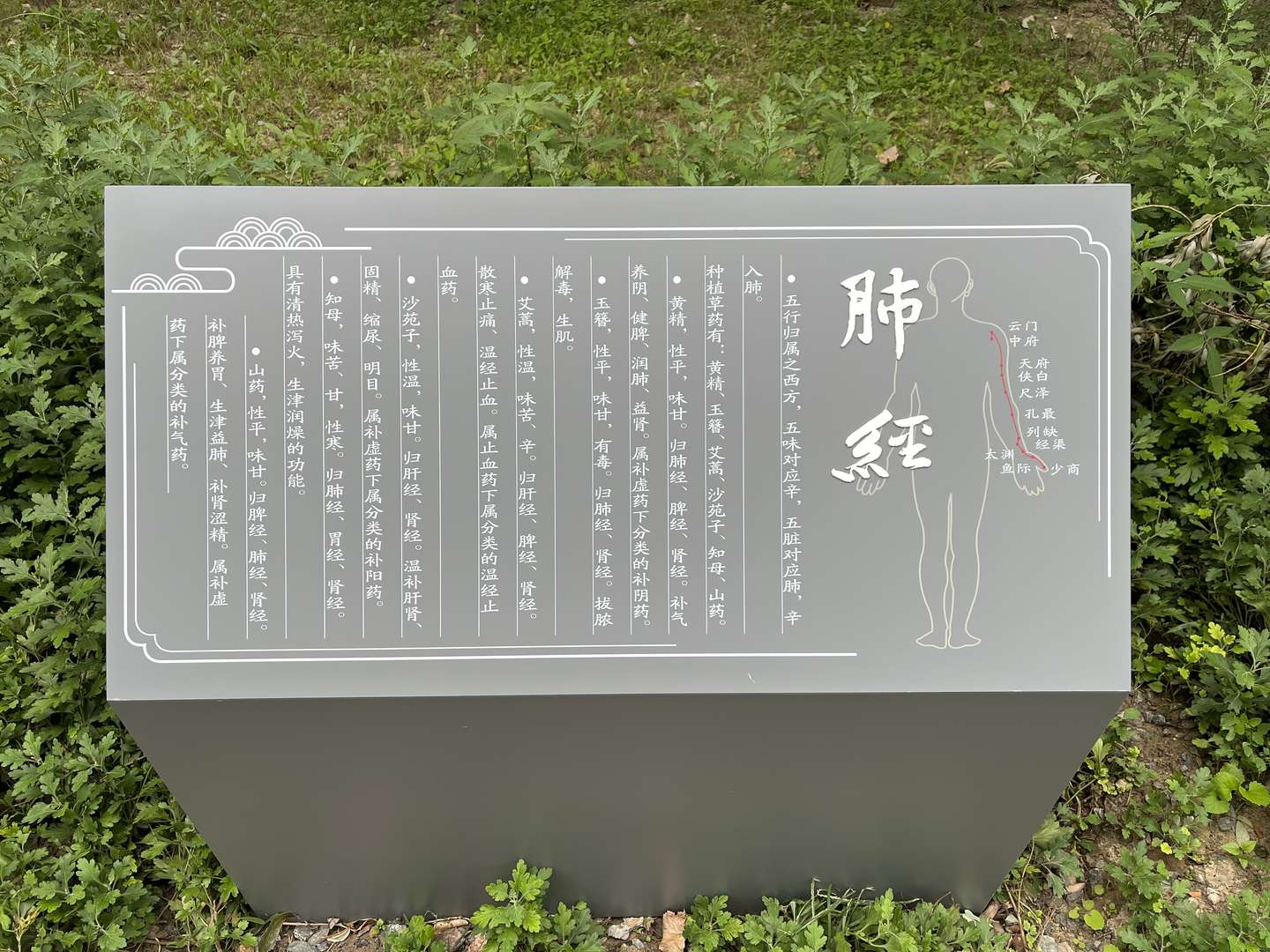 第一条经络：肺经，你的能量通路起点必须畅通