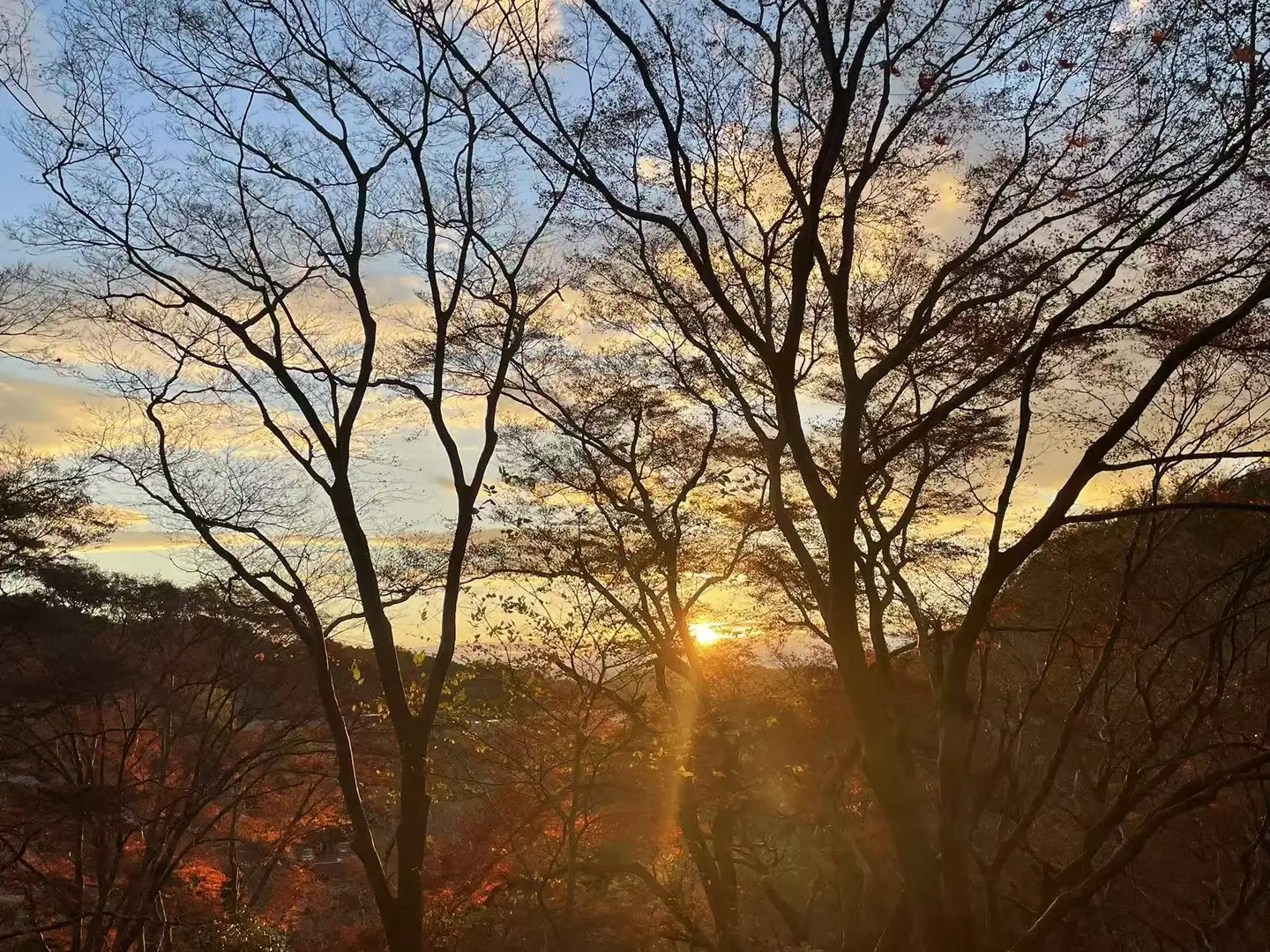 2024年冬入试 京都大学情报学研究科 先端数理科学 受验合格体验记