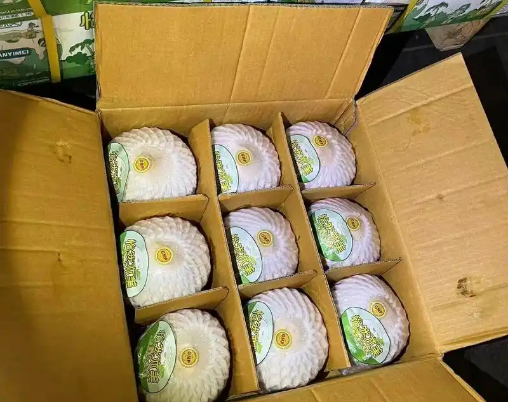 【进口知识】鲜食椰子进口通关指南必看！