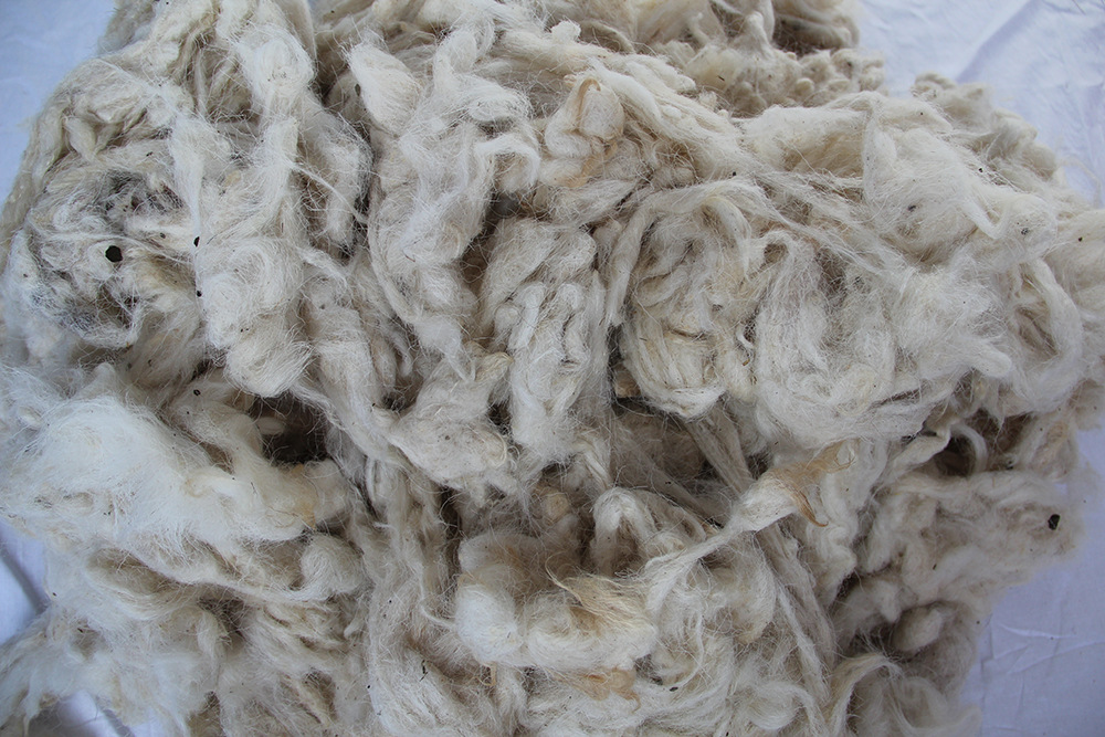 羊毛进口清关资料流程及检疫措施分享