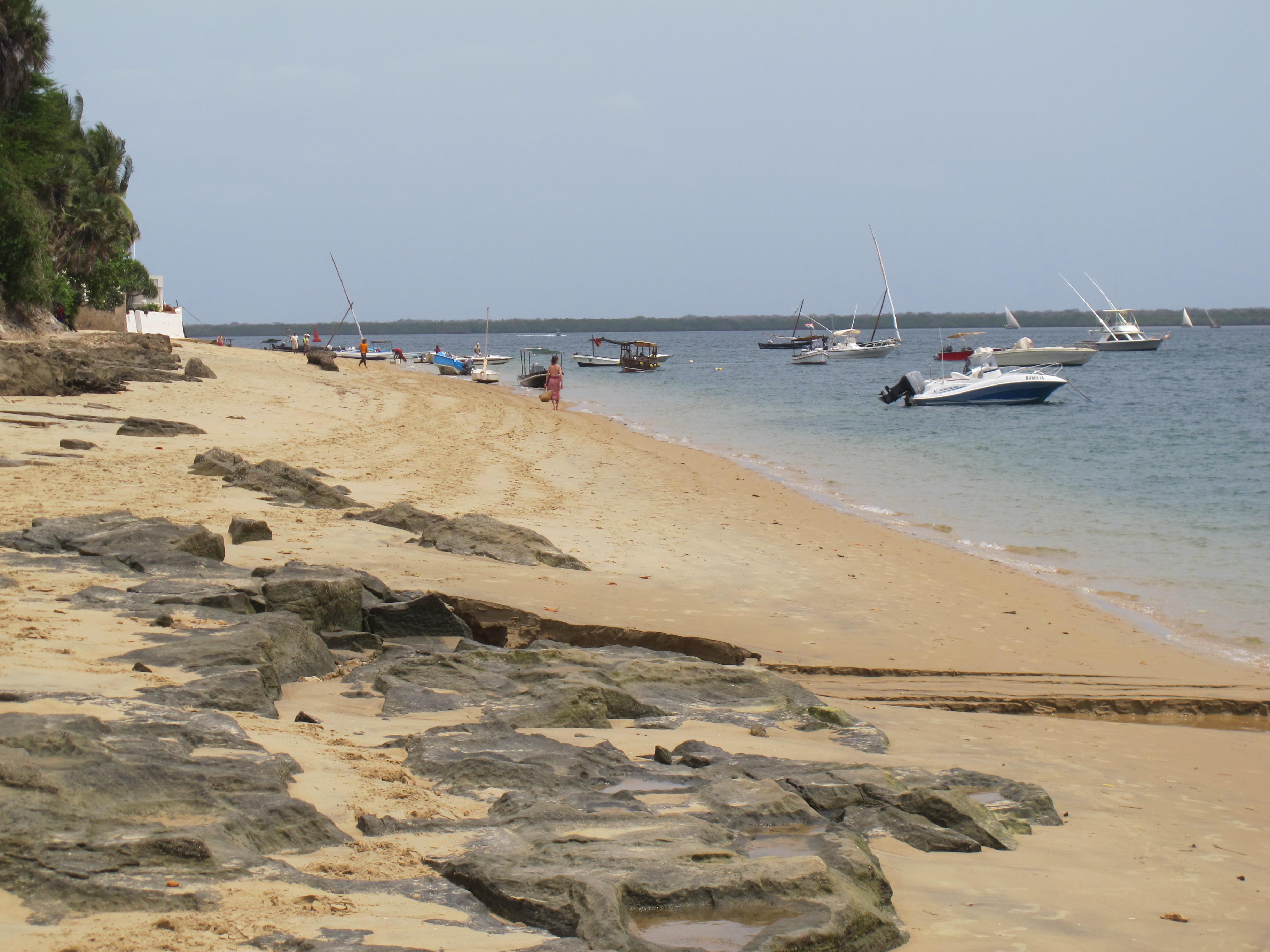 到非洲旅行带 8 岁小朋友同行有哪些需要注意的事项?