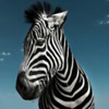 user-profile-image