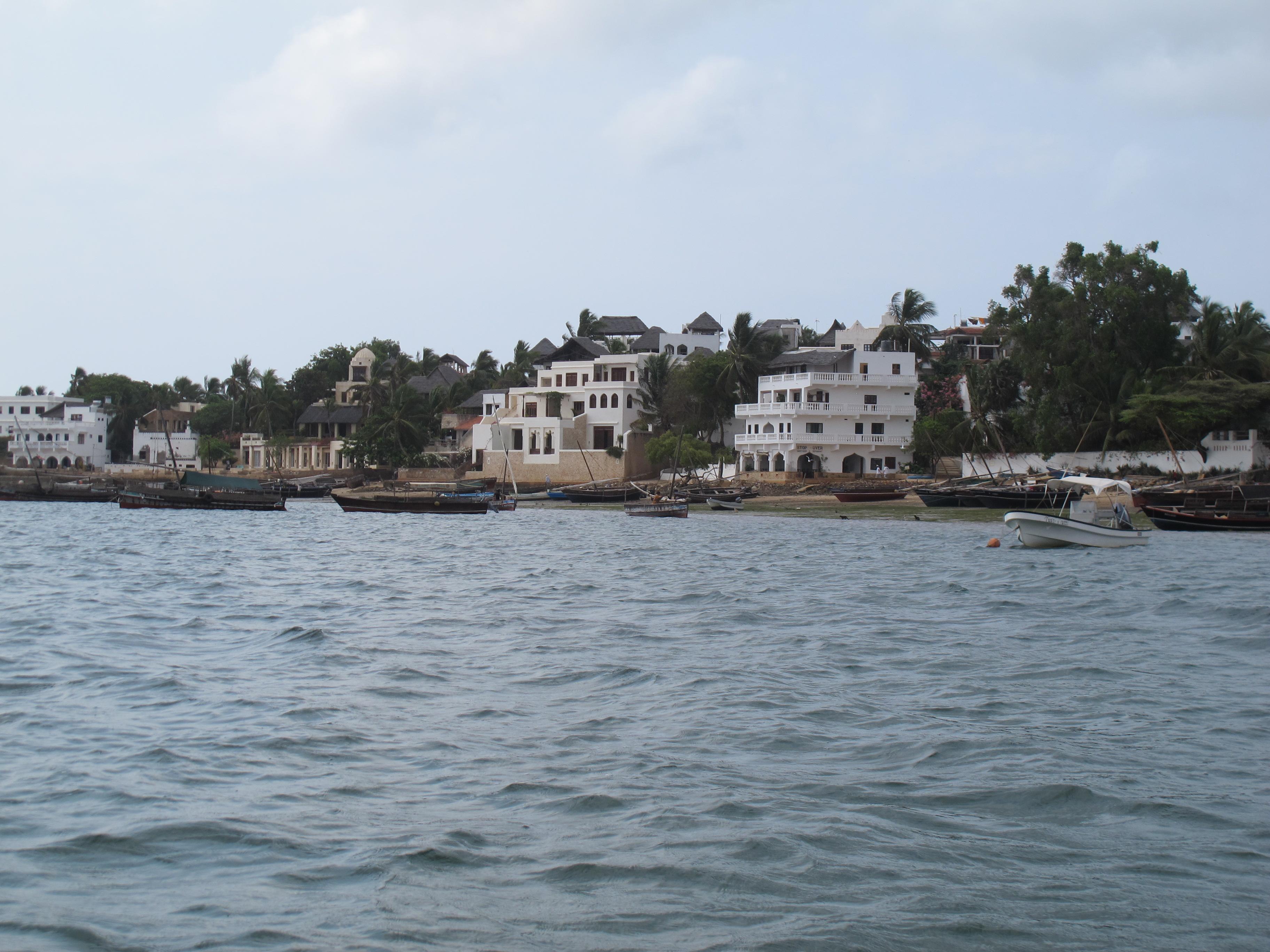 到非洲旅行带 8 岁小朋友同行有哪些需要注意的事项?