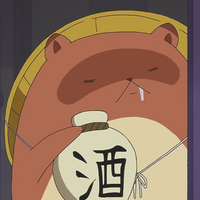 Zhihu profile picture for @tempig
