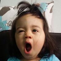 Zhihu profile picture for @munchkin