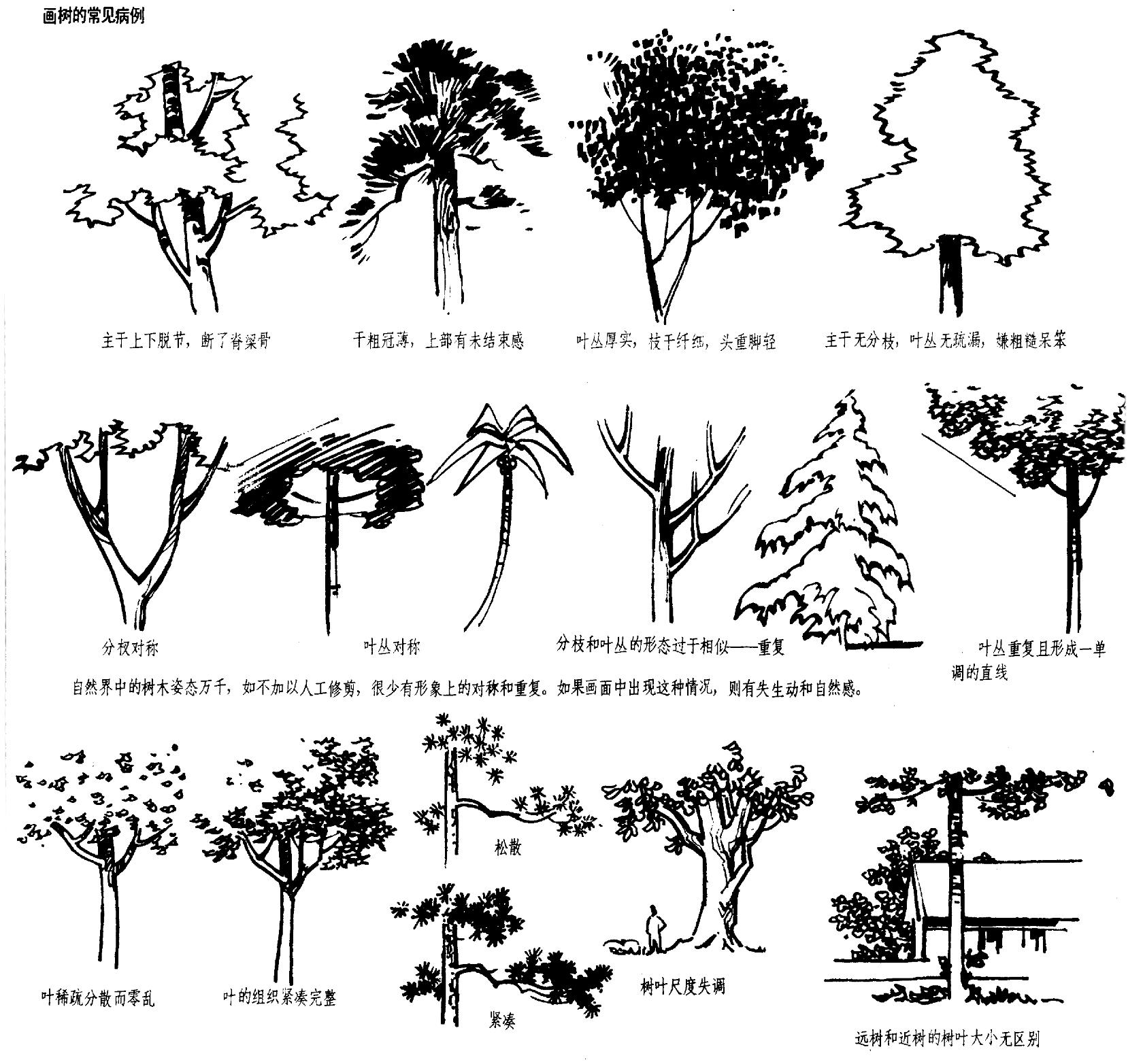 景观手绘树线条线稿图片