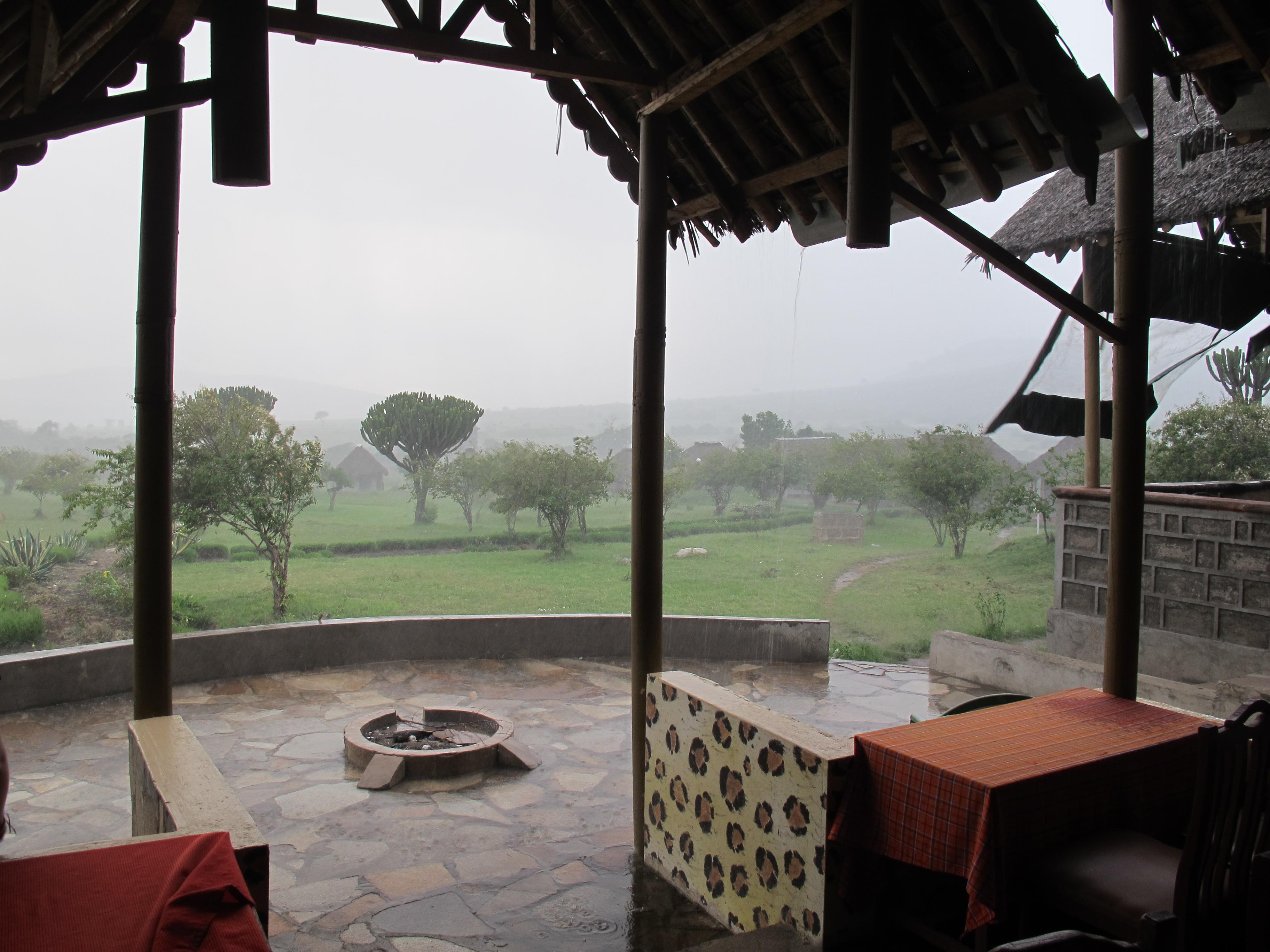 到非洲旅行带 8 岁小朋友同行有哪些需要注意的事项?