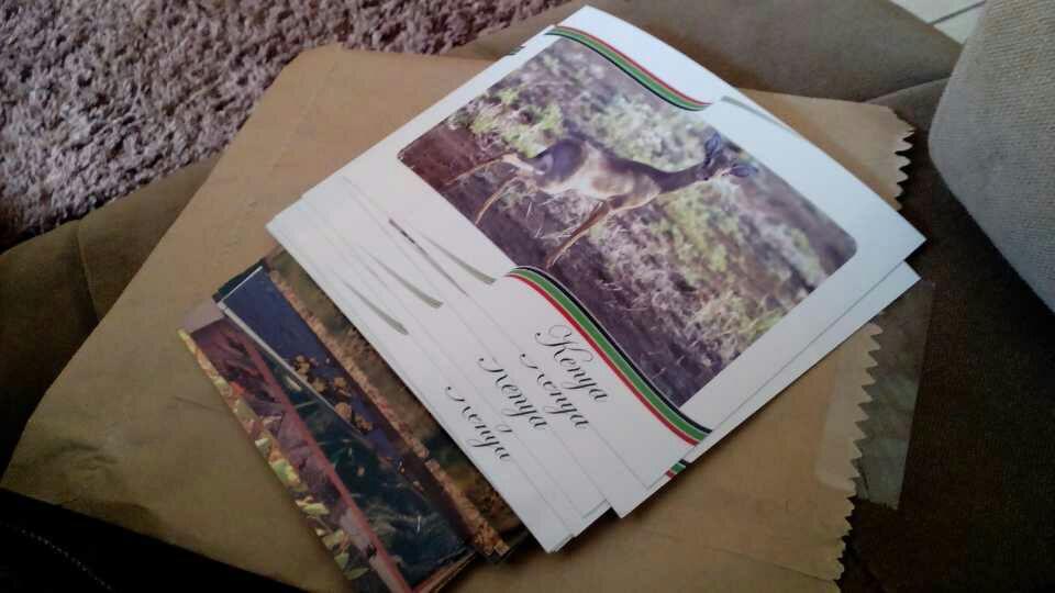 到非洲旅行带 8 岁小朋友同行有哪些需要注意的事项?