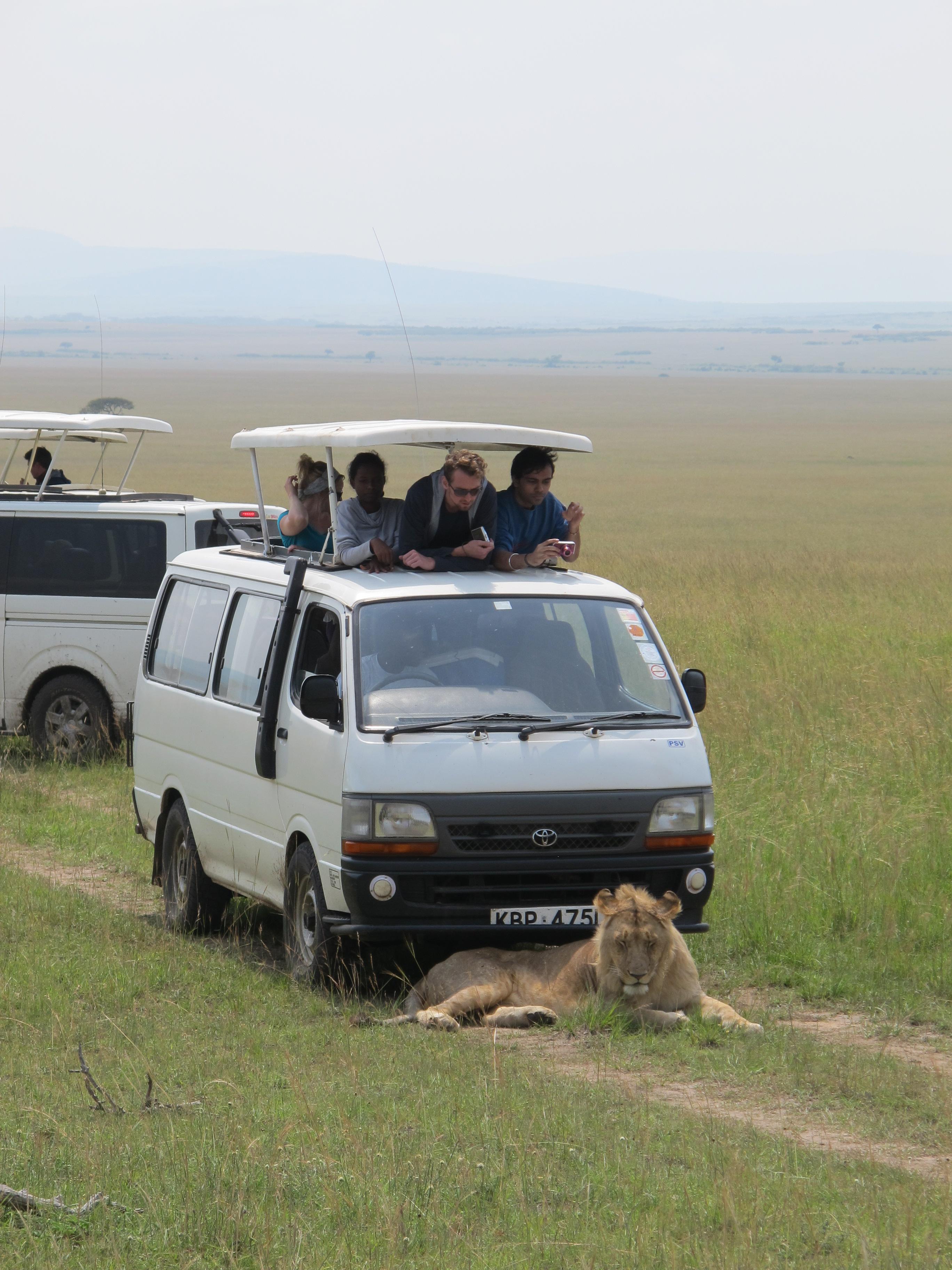 到非洲旅行带 8 岁小朋友同行有哪些需要注意的事项?
