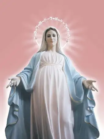 圣母圣母婊白莲花绿茶婊这些今年流行的词汇到底都是怎么定义的呢