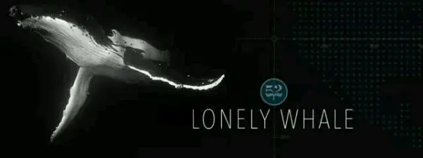 Search for the world's 'loneliest whale' who has been singing to